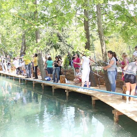 فندق Beskonakفي  Eco Family Park المظهر الخارجي الصورة