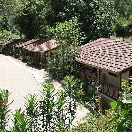 فندق Beskonakفي  Eco Family Park المظهر الخارجي الصورة