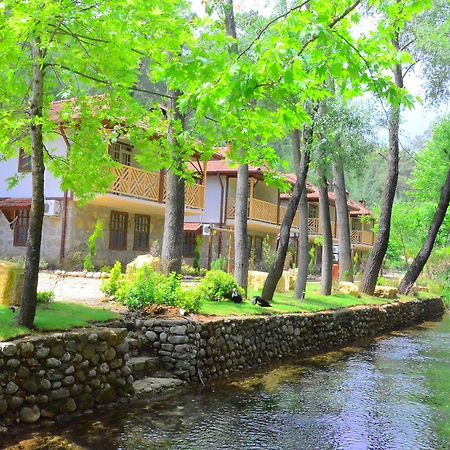فندق Beskonakفي  Eco Family Park المظهر الخارجي الصورة