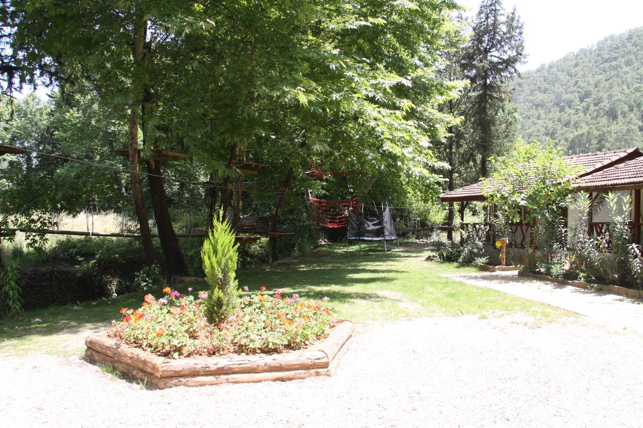 فندق Beskonakفي  Eco Family Park المظهر الخارجي الصورة