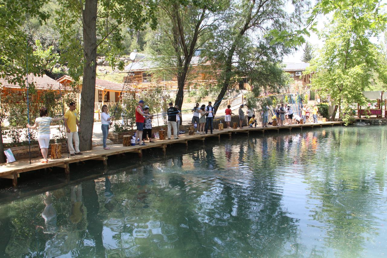 فندق Beskonakفي  Eco Family Park المظهر الخارجي الصورة