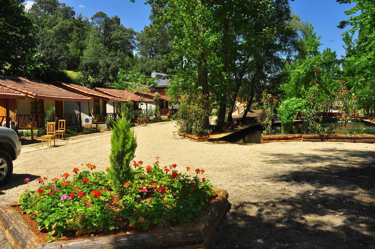 فندق Beskonakفي  Eco Family Park المظهر الخارجي الصورة