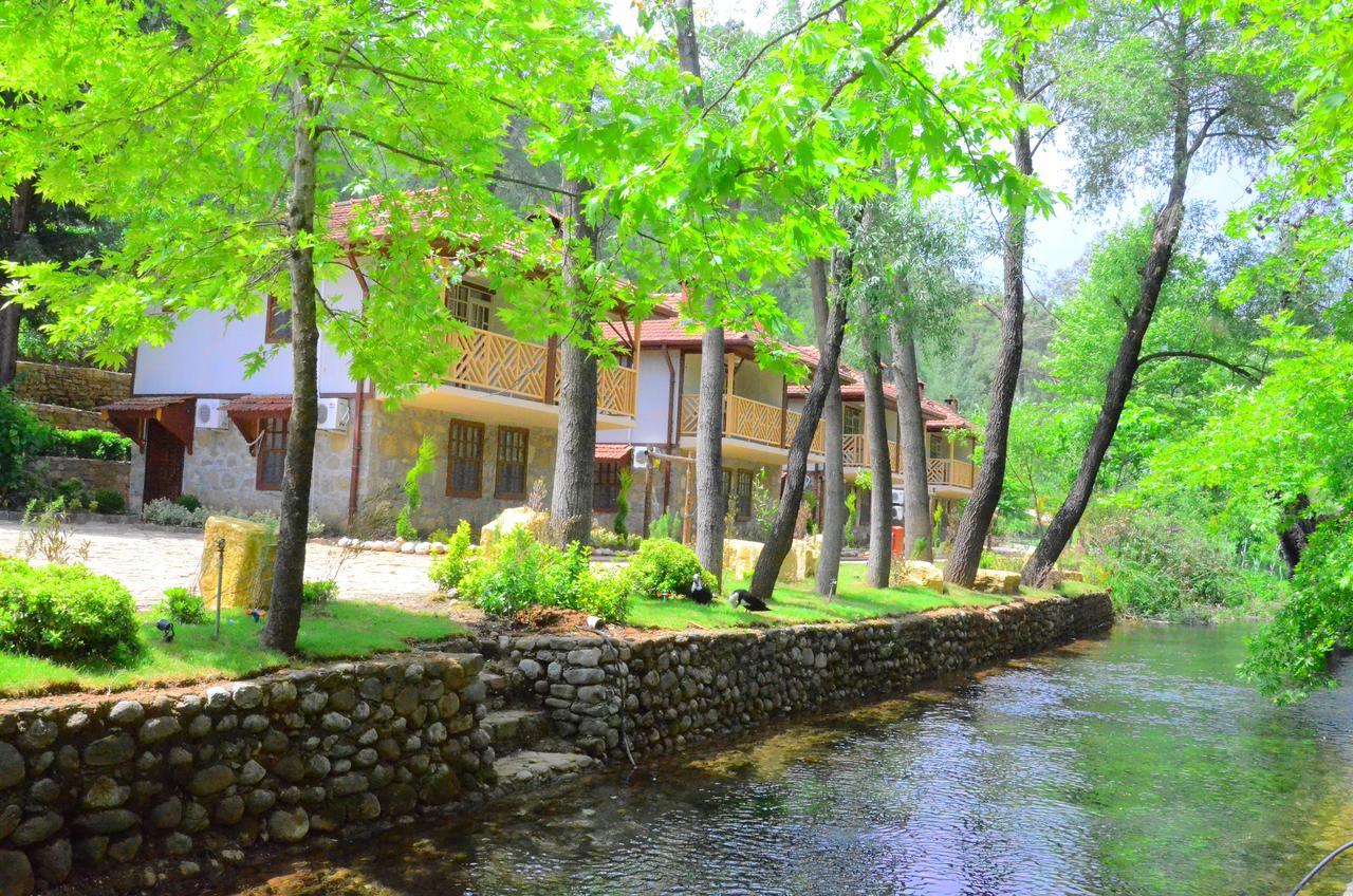 فندق Beskonakفي  Eco Family Park المظهر الخارجي الصورة
